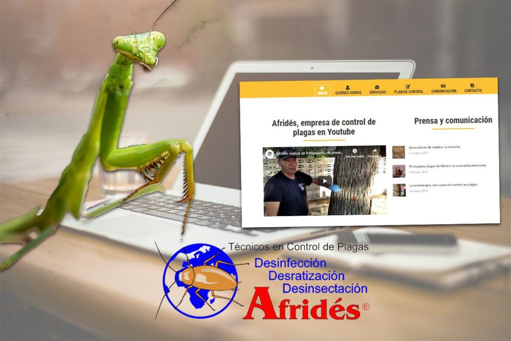 Montaje que muestra un ordenador, la página web enfocada a la comunicación corporativa de Afridés control de plagas y una mantis religiosa
